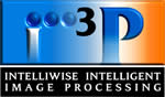 Logo I3P